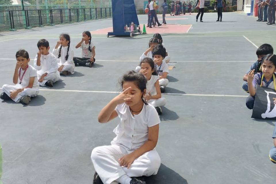 Jhonson Gramer School